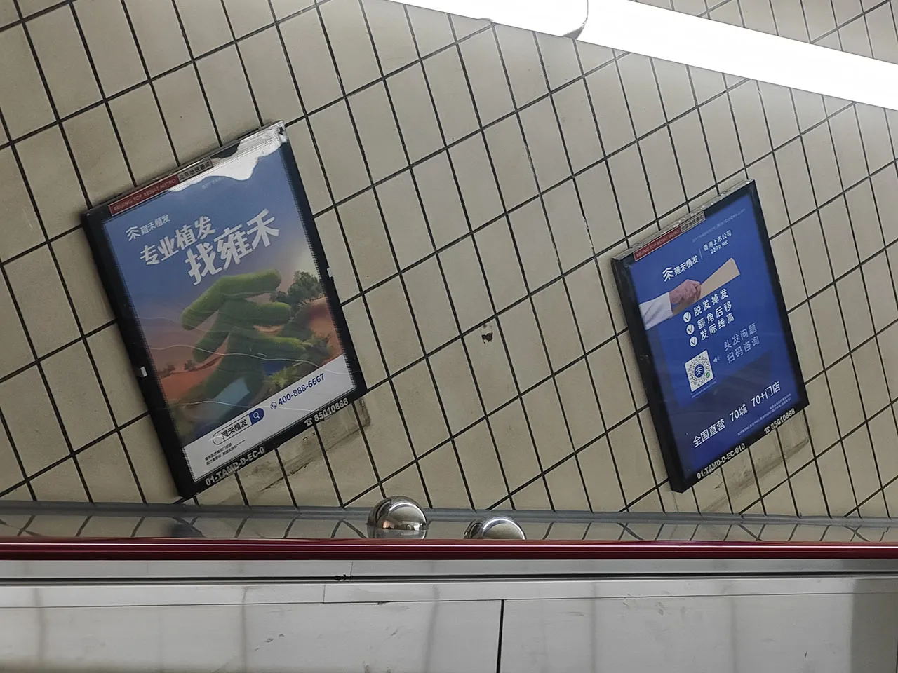 快跑啊！