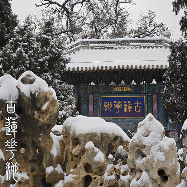 古莲花池