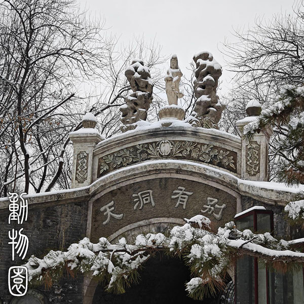 动物园