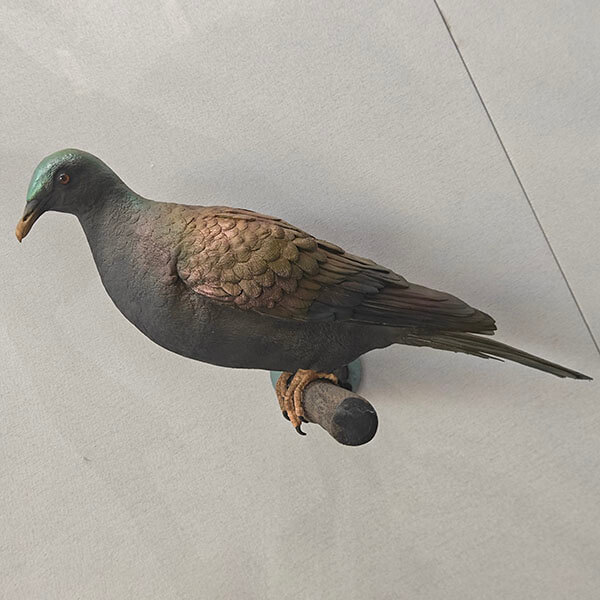 标本