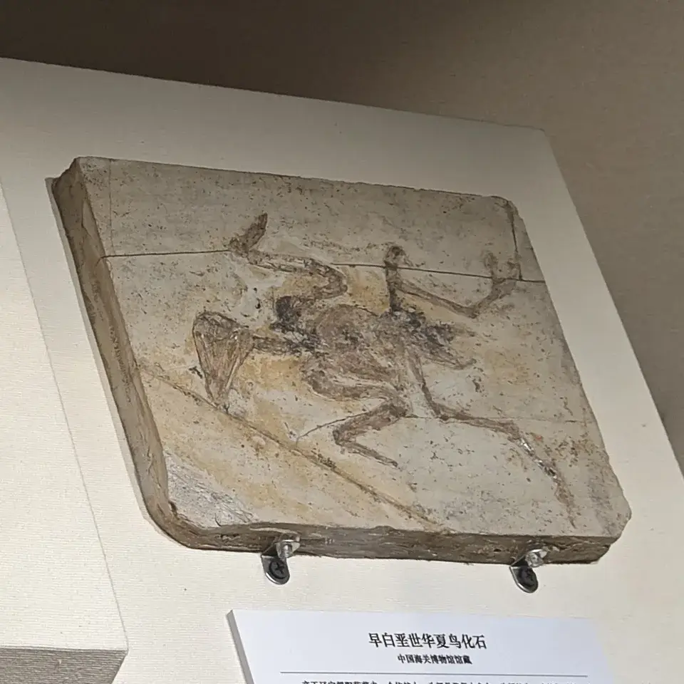 史前生物