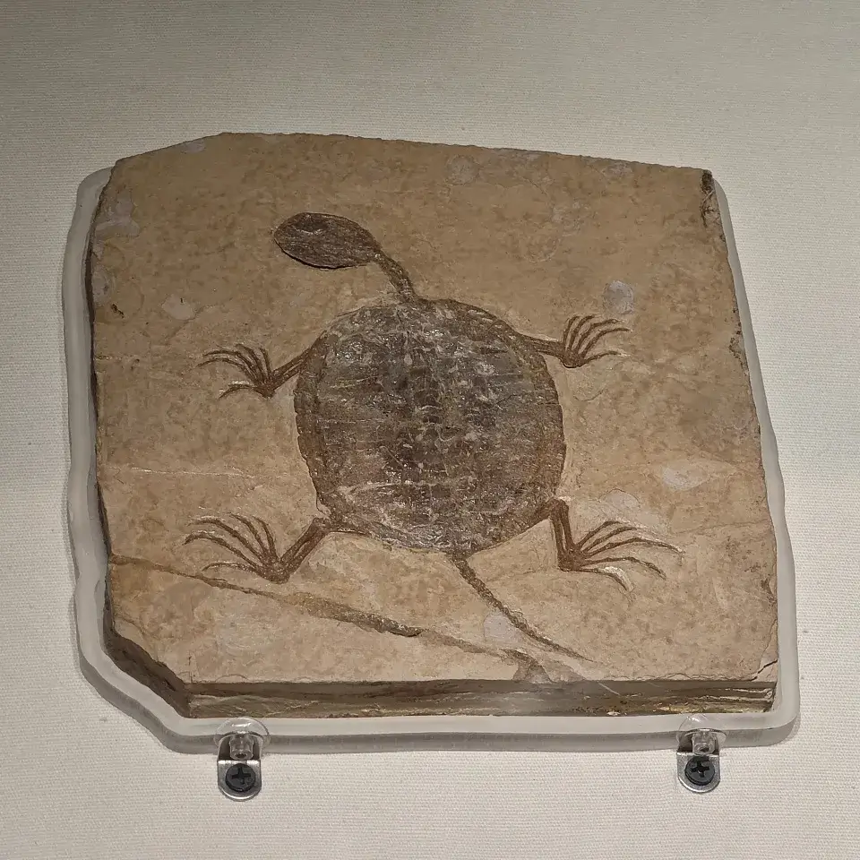 史前生物