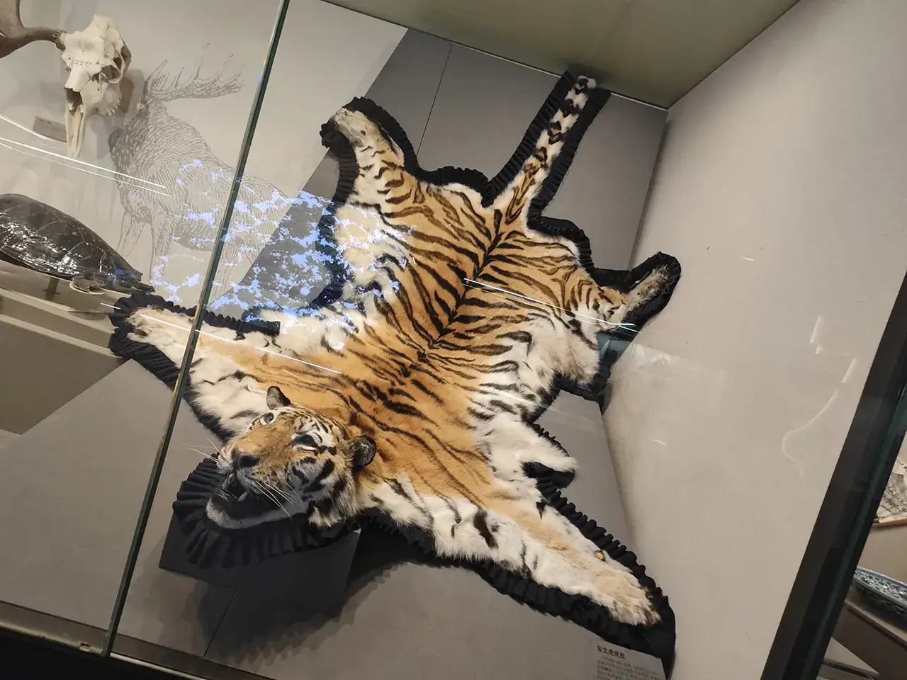 缉私