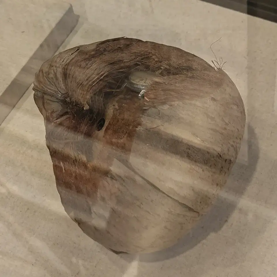 缉私