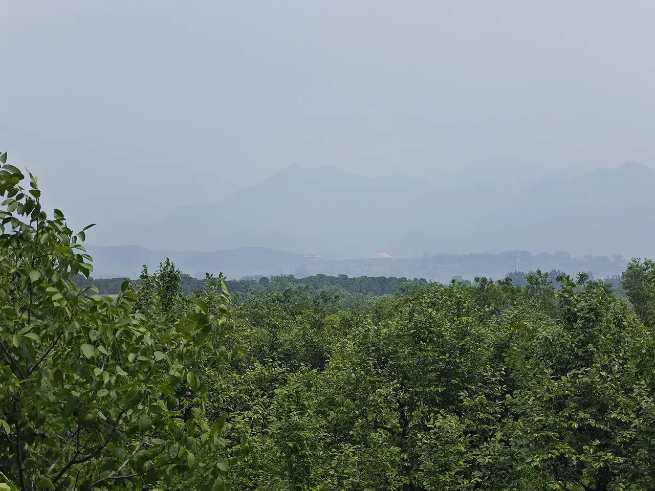 昭陵后山