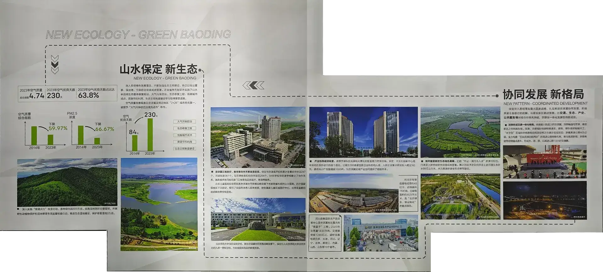 新生态 新格局