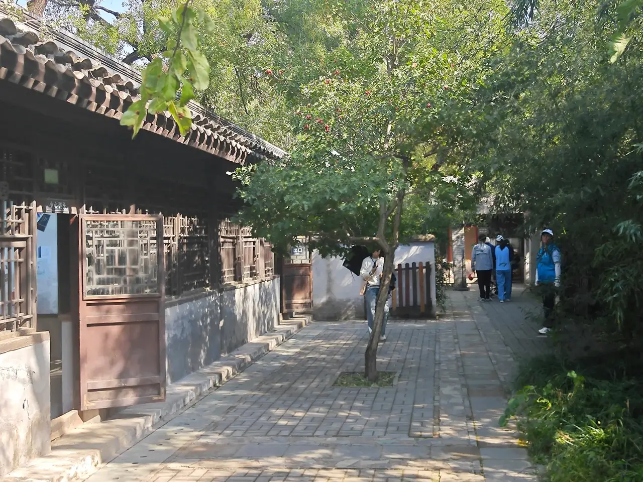 植物园内
