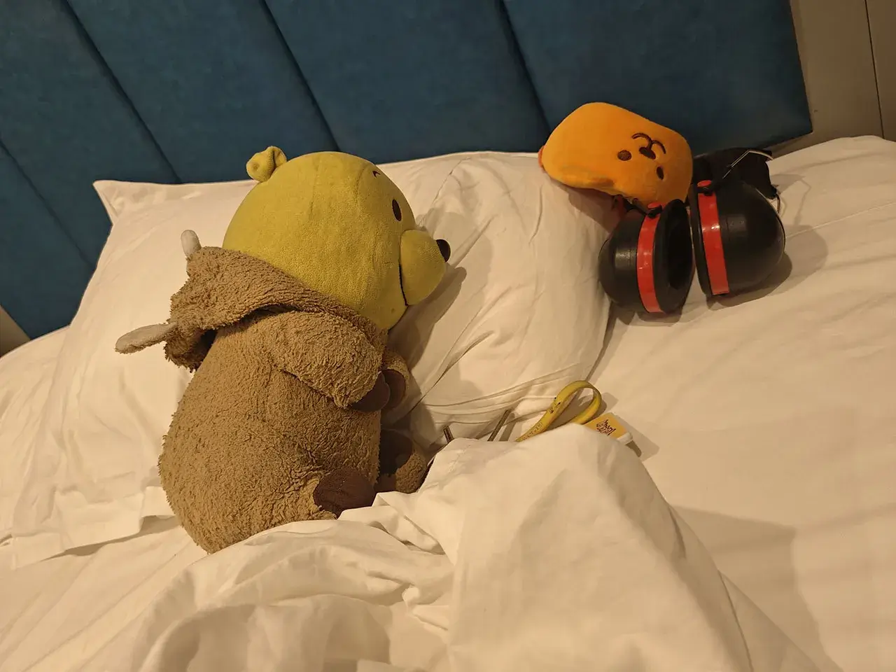 躺！