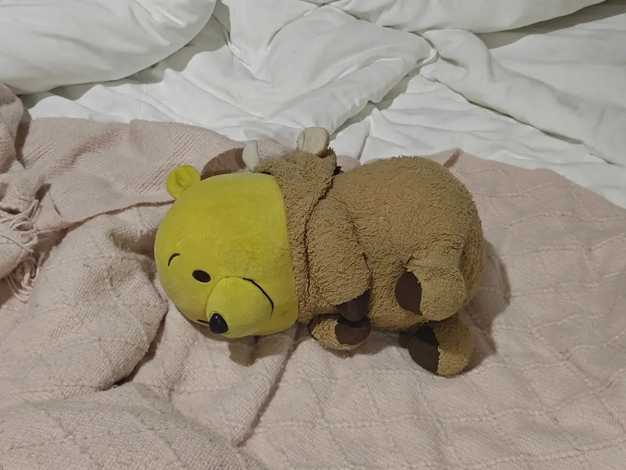躺！