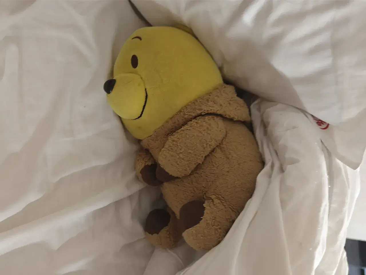 躺！