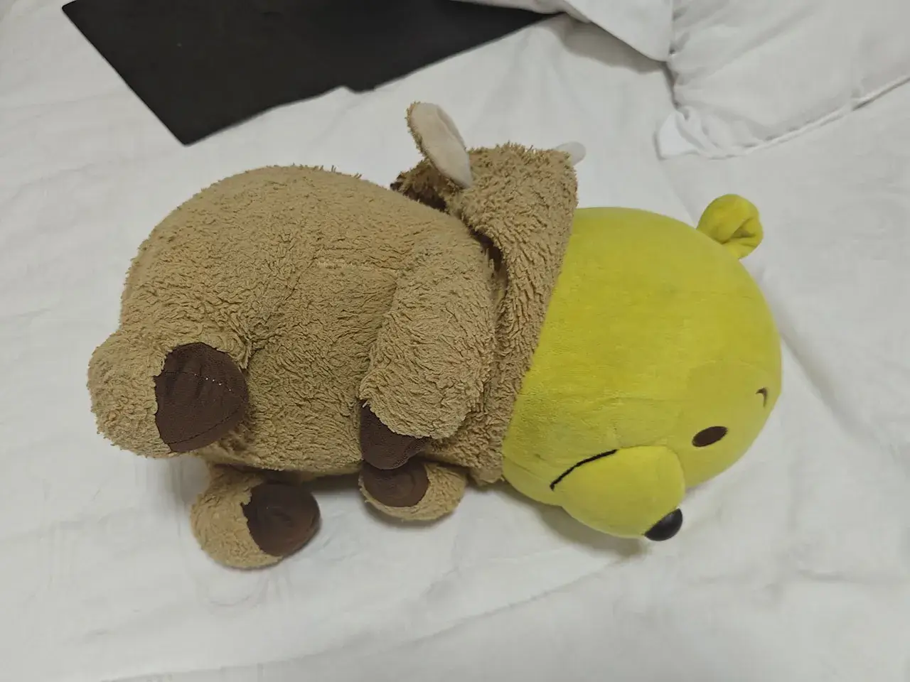 躺！