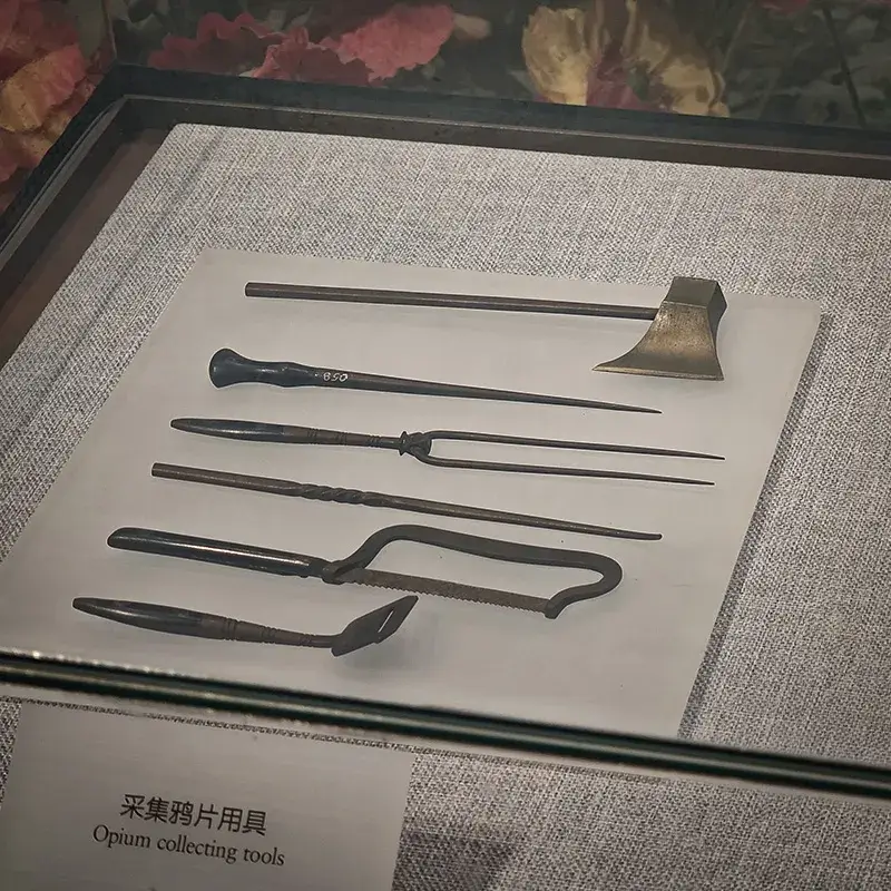 鸦片