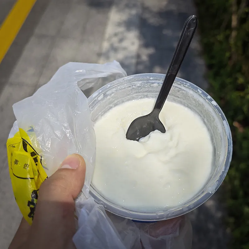 这就是双皮奶！