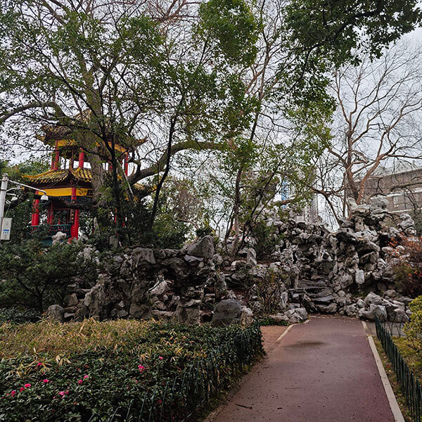 八一公园