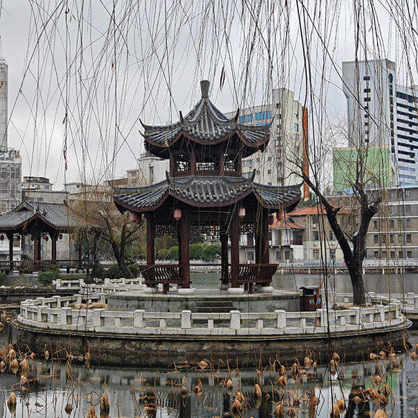 八一公园