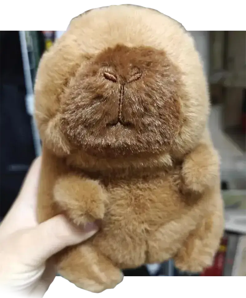 pro 哥牛逼！