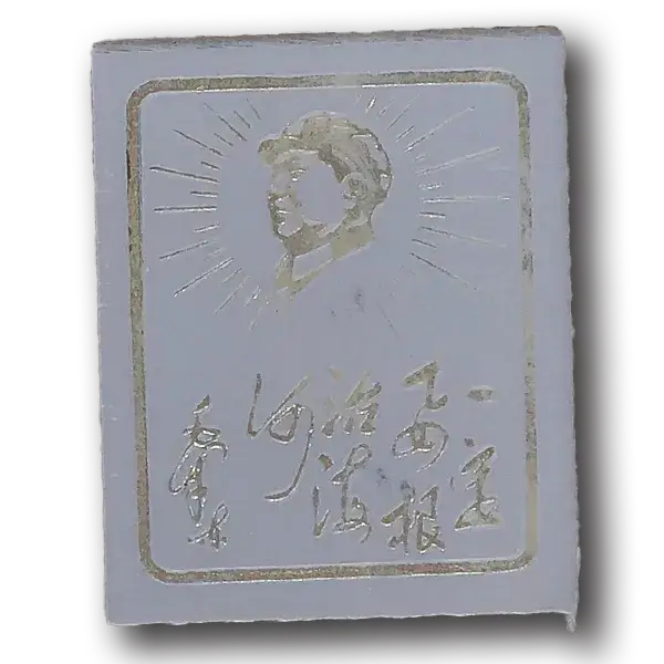 一定要根治海河