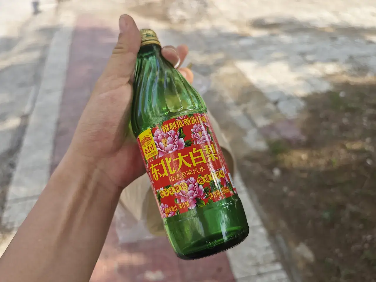 东北大白梨