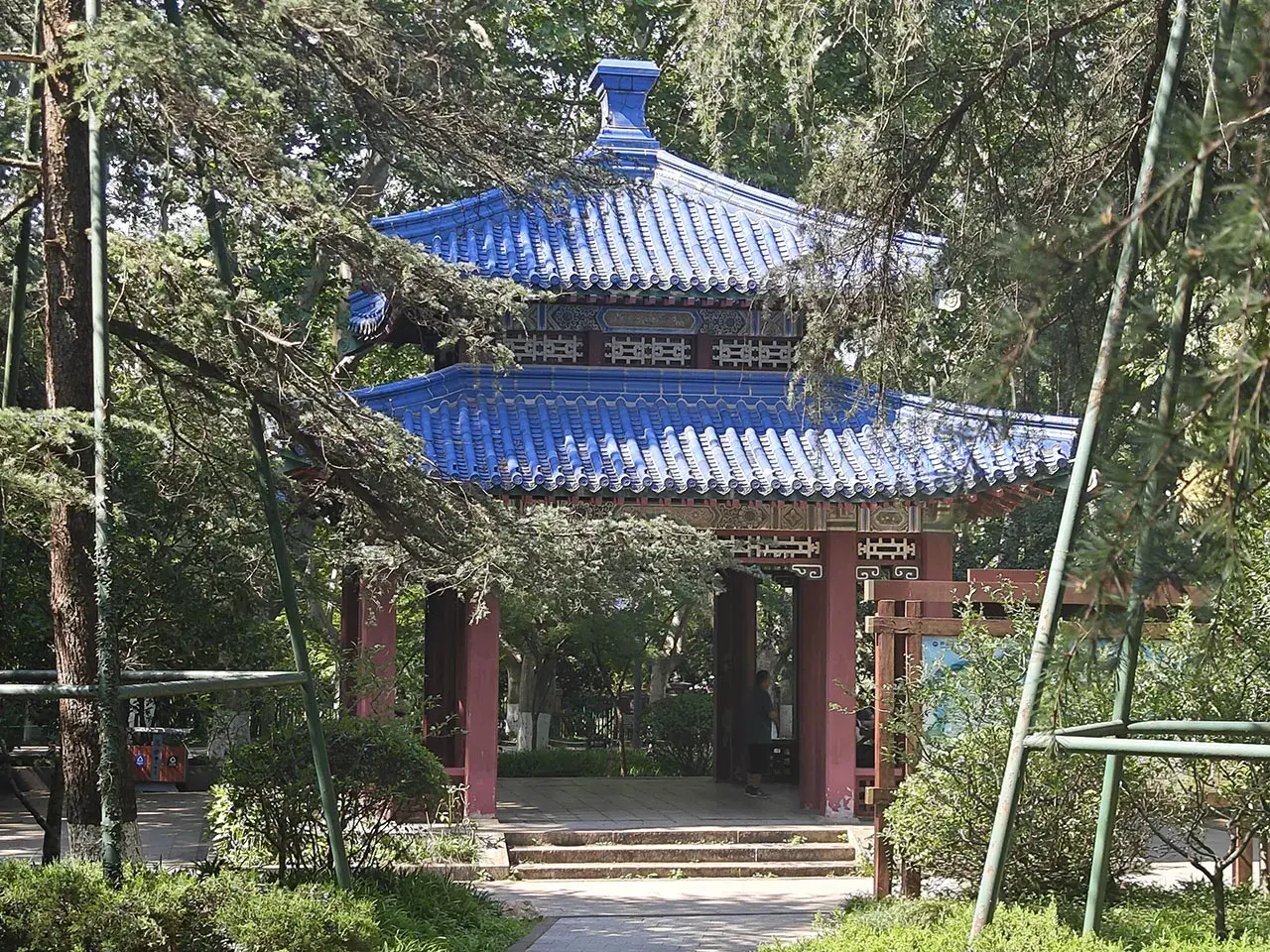 漫长的梧桐大道