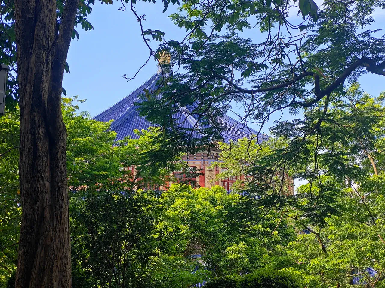 榕树后的中山纪念堂