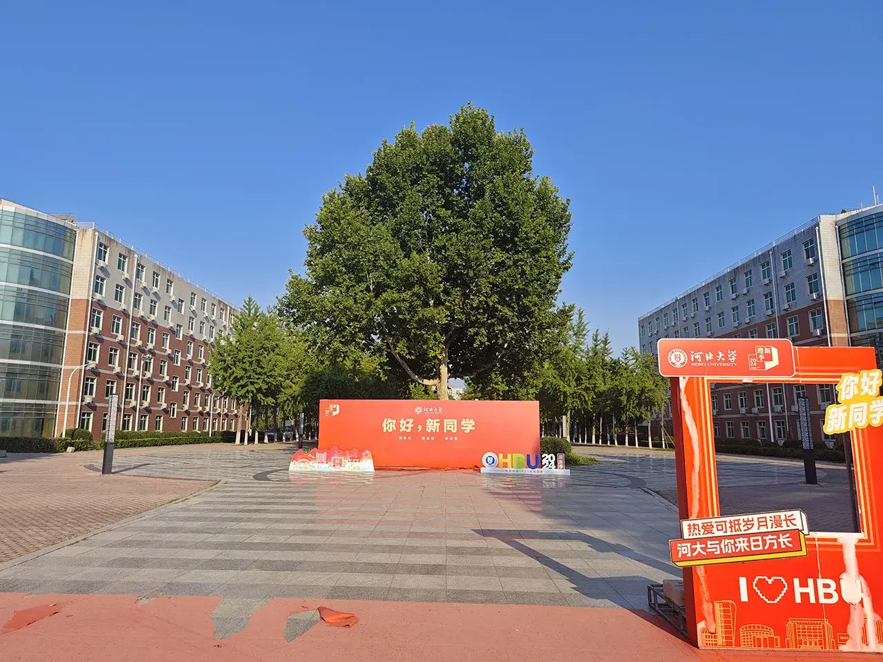 不!岁月太漫长了!我不想来日方长!