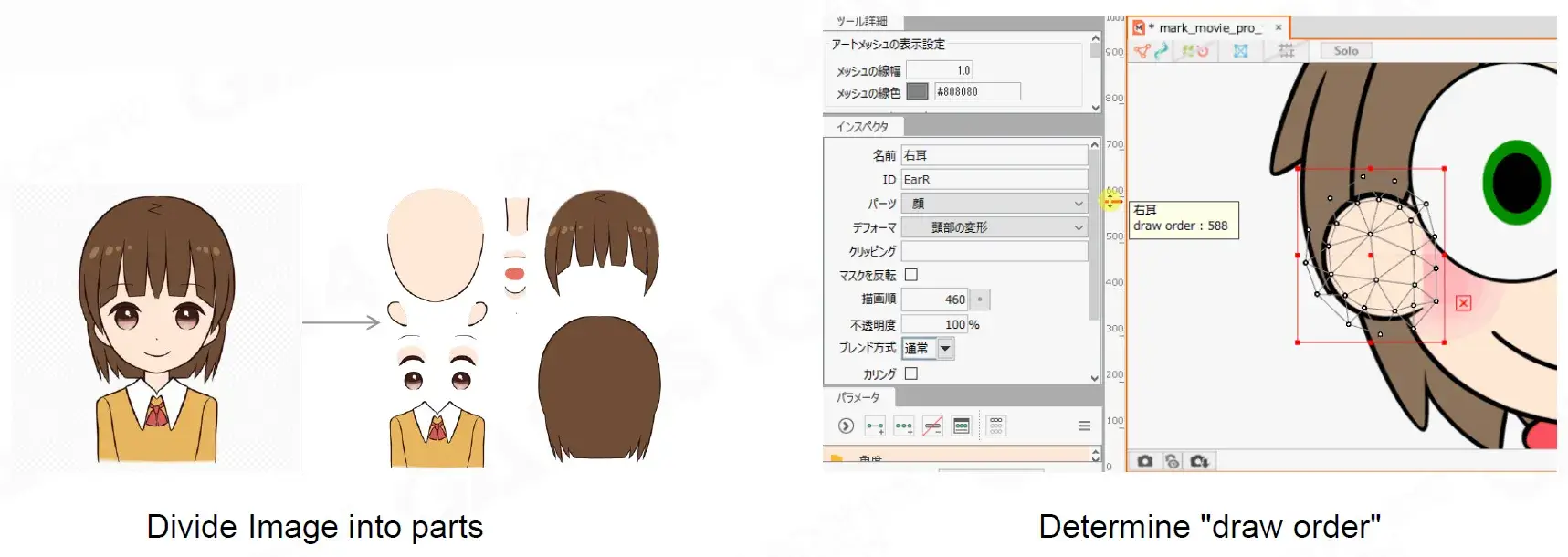 webp