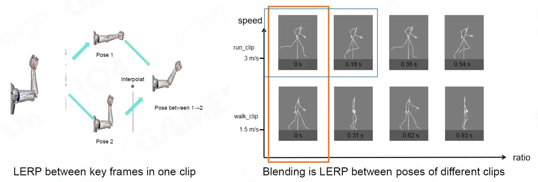 webp