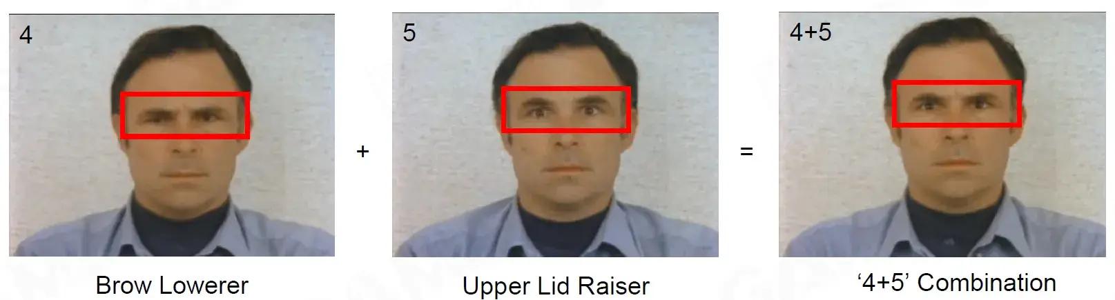 webp