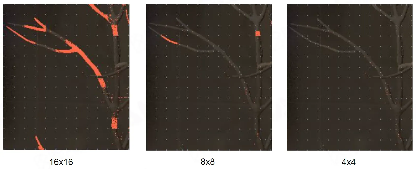 webp