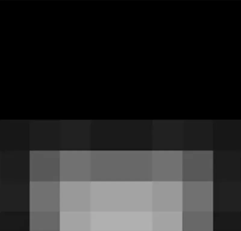 webp
