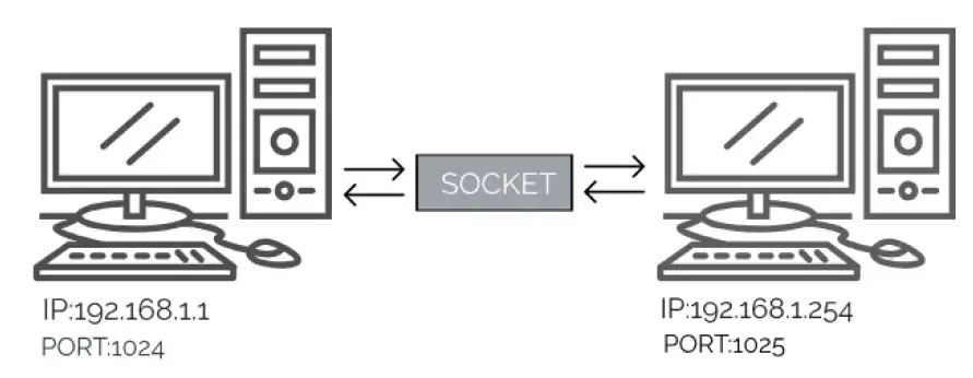 webp