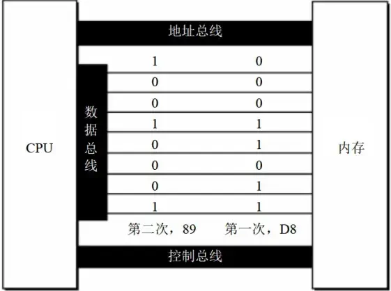 8 位数据总线上传送的信息