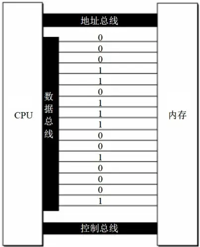 16 位数据总线上传送的信息