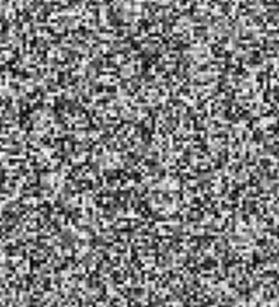 webp