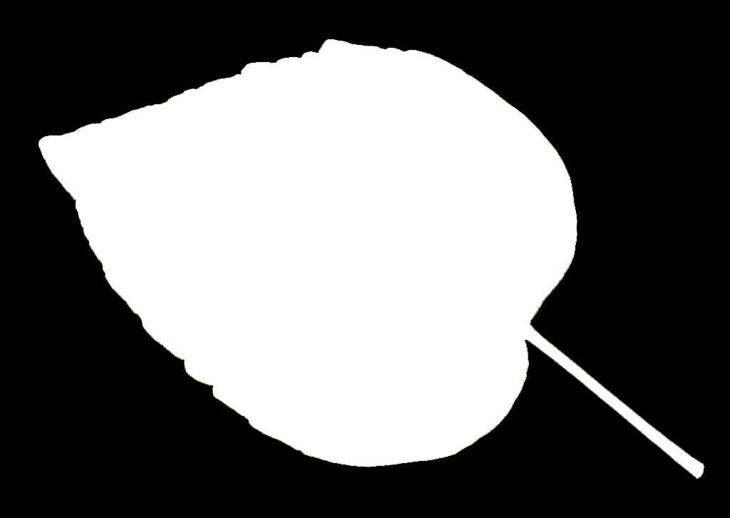 jpg
