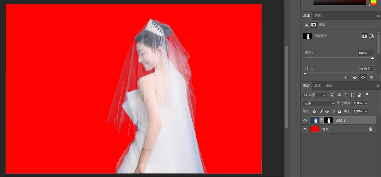 webp