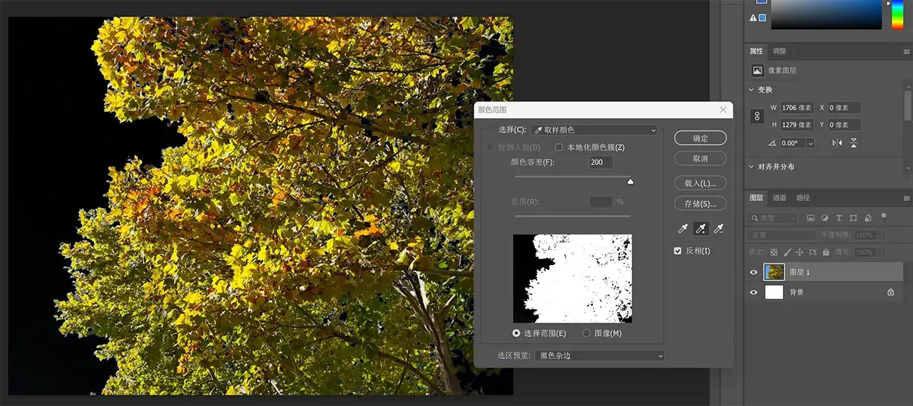webp